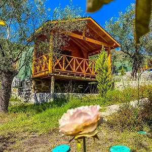 Kazdaglari Saglikli Yasam Koeyue Resort
